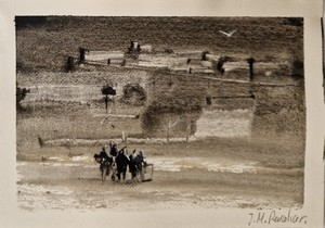 Exposici&oacute;n actual Babel